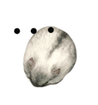 Maru mouse（個別スタンプ：6）