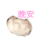 Maru mouse（個別スタンプ：8）