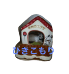 千晴家のカイとめいちゃん（個別スタンプ：1）