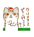 猫★冬のごあいさつ【Xmas〜年末年始】（個別スタンプ：4）