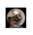 可愛い猫 ねこ クリスマス お正月 年末年始（個別スタンプ：2）