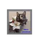 可愛い猫 ねこ クリスマス お正月 年末年始（個別スタンプ：3）