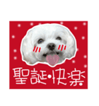 Geely wish you X'mas and happy new year（個別スタンプ：2）