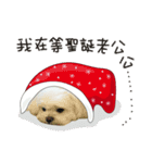 Geely wish you X'mas and happy new year（個別スタンプ：7）