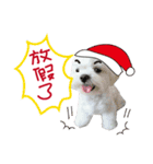 Geely wish you X'mas and happy new year（個別スタンプ：15）