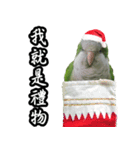 Merry Xmas from the cutest monk parrot！（個別スタンプ：9）