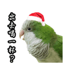 Merry Xmas from the cutest monk parrot！（個別スタンプ：10）