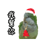 Merry Xmas from the cutest monk parrot！（個別スタンプ：13）