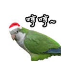 Merry Xmas from the cutest monk parrot！（個別スタンプ：15）