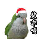 Merry Xmas from the cutest monk parrot！（個別スタンプ：21）