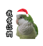 Merry Xmas from the cutest monk parrot！（個別スタンプ：24）