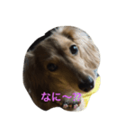 ラブリー❤ランちゃん（個別スタンプ：4）