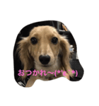 ラブリー❤ランちゃん（個別スタンプ：5）