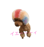 ボン太（個別スタンプ：9）