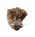 ボン太（個別スタンプ：10）