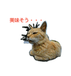 Street cats 4（個別スタンプ：8）