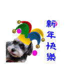 Merry Christmas My Schnauzer（個別スタンプ：5）