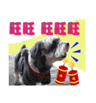 Merry Christmas My Schnauzer（個別スタンプ：8）