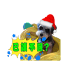 Merry Christmas My Schnauzer（個別スタンプ：11）