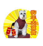 Merry Christmas My Schnauzer（個別スタンプ：18）