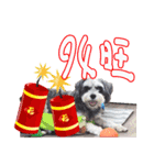 Merry Christmas My Schnauzer（個別スタンプ：20）