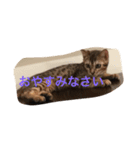 ♡ベルちゃんスタンプ♡（個別スタンプ：6）