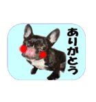 あんぽんたん♪（個別スタンプ：1）