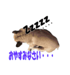 あんぽんたん♪（個別スタンプ：2）