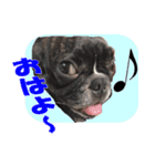 あんぽんたん♪（個別スタンプ：3）