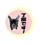 あんぽんたん♪（個別スタンプ：5）
