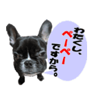 あんぽんたん♪（個別スタンプ：8）