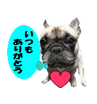 あんぽんたん♪（個別スタンプ：12）