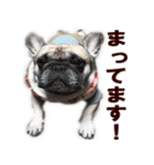 あんぽんたん♪（個別スタンプ：13）