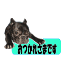 あんぽんたん♪（個別スタンプ：15）