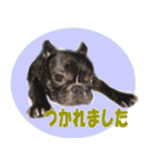 あんぽんたん♪（個別スタンプ：18）