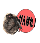 あんぽんたん♪（個別スタンプ：19）