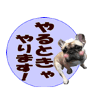 あんぽんたん♪（個別スタンプ：23）