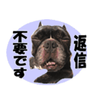 あんぽんたん♪（個別スタンプ：24）