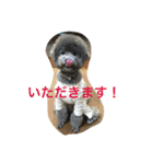 今日のふらんちゅ 2（個別スタンプ：1）