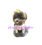 今日のふらんちゅ 2（個別スタンプ：3）