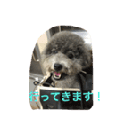 今日のふらんちゅ 2（個別スタンプ：6）