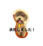 今日のふらんちゅ 2（個別スタンプ：7）