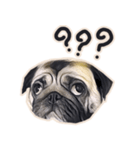 Tomu The Pug（個別スタンプ：1）