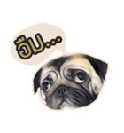 Tomu The Pug（個別スタンプ：5）