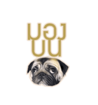 Tomu The Pug（個別スタンプ：14）