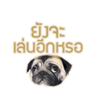 Tomu The Pug（個別スタンプ：15）