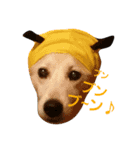 動物ランド（個別スタンプ：4）