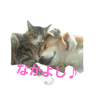 動物ランド（個別スタンプ：8）