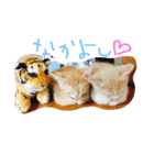 cocoa♡（個別スタンプ：2）