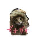 cocoa♡（個別スタンプ：5）